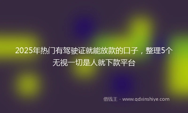 2025年热门有驾驶证就能放款的口子，整理5个无视一切是人就下款平台