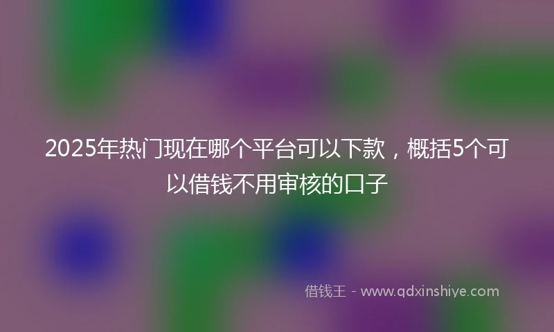 2025年热门现在哪个平台可以下款，概括5个可以借钱不用审核的口子