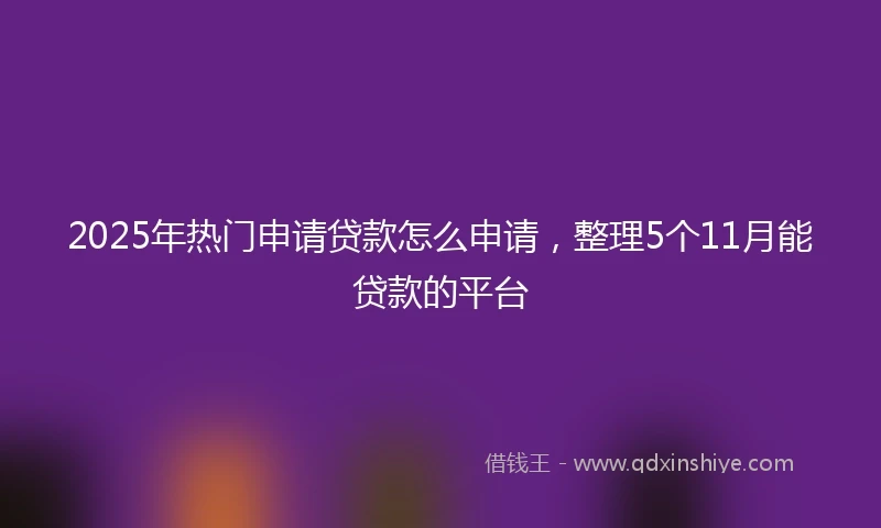 2025年热门申请贷款怎么申请，整理5个11月能贷款的平台