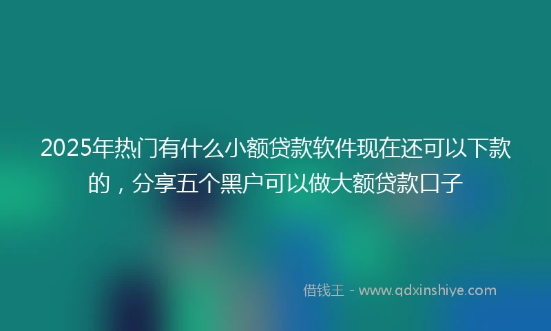 2025年热门有什么小额贷款软件现在还可以下款的，分享五个黑户可以做大额贷款口子