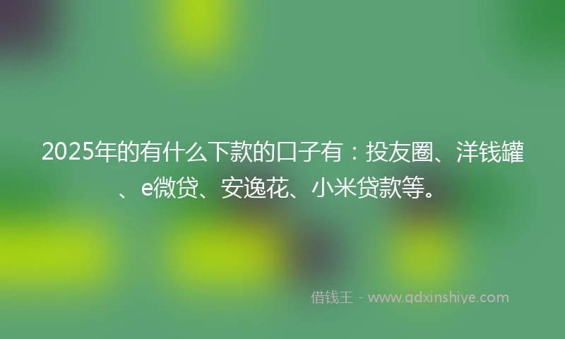 2025年的有什么下款的口子有：投友圈、洋钱罐、e微贷、安逸花、小米贷款等。