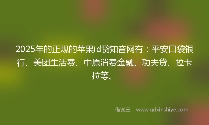 2025年的正规的苹果id贷知音网有：平安口袋银行、美团生活费、中原消费金融、功夫贷、拉卡拉等。