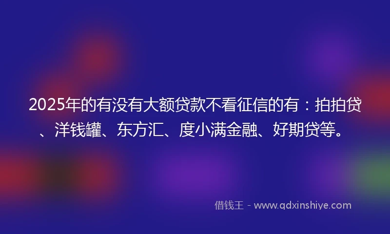 2025年的有没有大额贷款不看征信的有：拍拍贷、洋钱罐、东方汇、度小满金融、好期贷等。