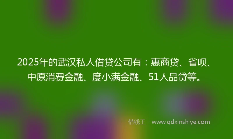 2025年的武汉私人借贷公司有：惠商贷、省呗、中原消费金融、度小满金融、51人品贷等。