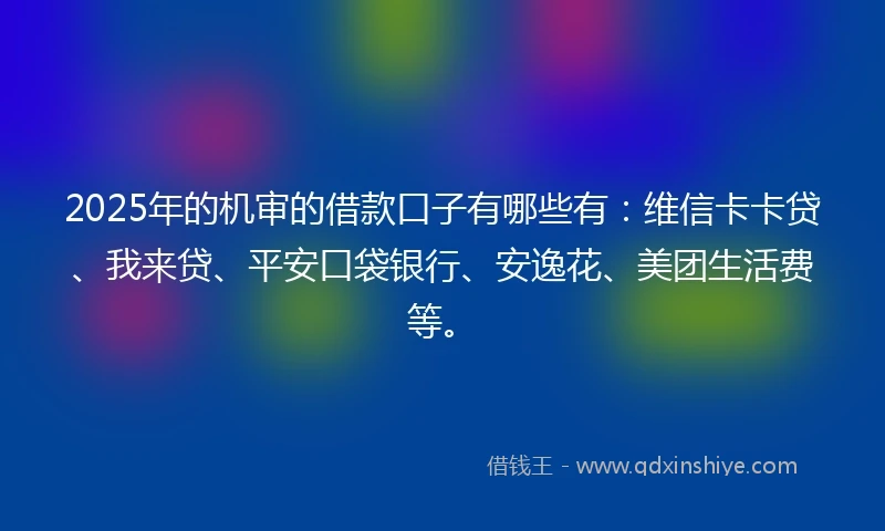 2025年的机审的借款口子有哪些有：维信卡卡贷、我来贷、平安口袋银行、安逸花、美团生活费等。