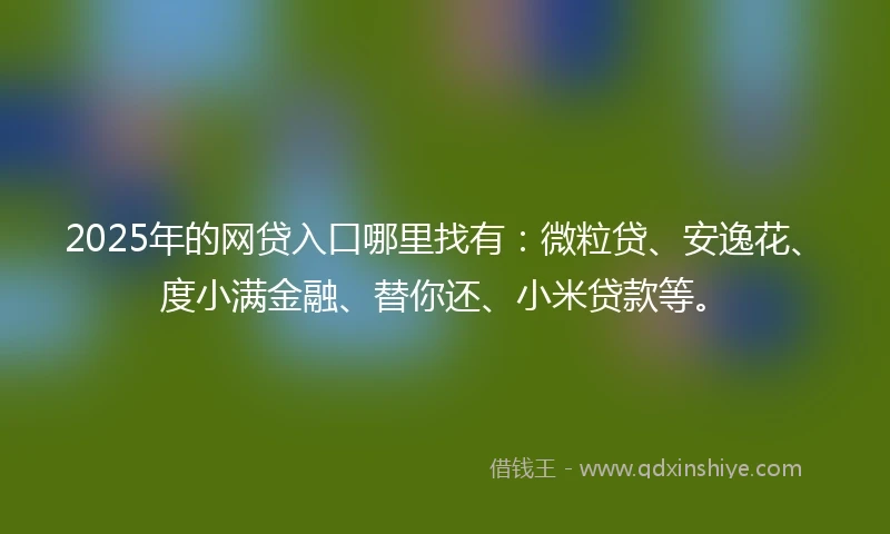 2025年的网贷入口哪里找有：微粒贷、安逸花、度小满金融、替你还、小米贷款等。