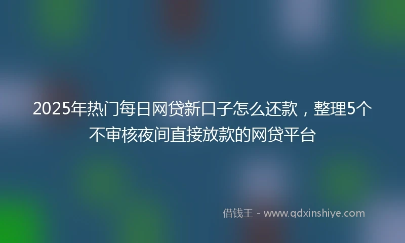 2025年热门每日网贷新口子怎么还款，整理5个不审核夜间直接放款的网贷平台