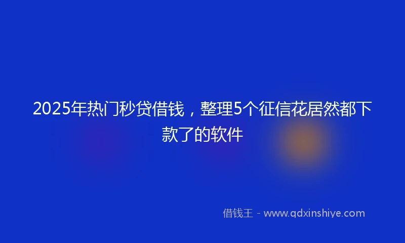 2025年热门秒贷借钱，整理5个征信花居然都下款了的软件
