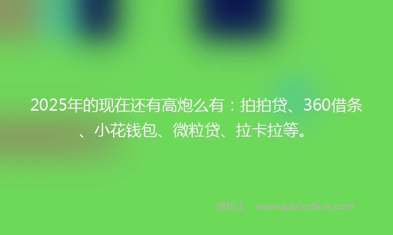 2025年的现在还有高炮么有：拍拍贷、360借条、小花钱包、微粒贷、拉卡拉等。