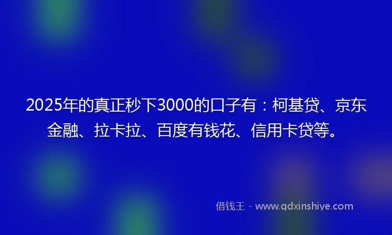 2025年的真正秒下3000的口子有：柯基贷、京东金融、拉卡拉、百度有钱花、信用卡贷等。