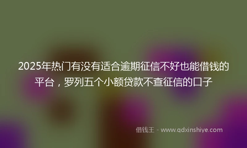 2025年热门有没有适合逾期征信不好也能借钱的平台，罗列五个小额贷款不查征信的口子