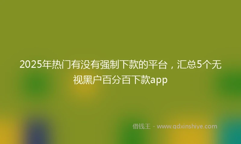 2025年热门有没有强制下款的平台，汇总5个无视黑户百分百下款app