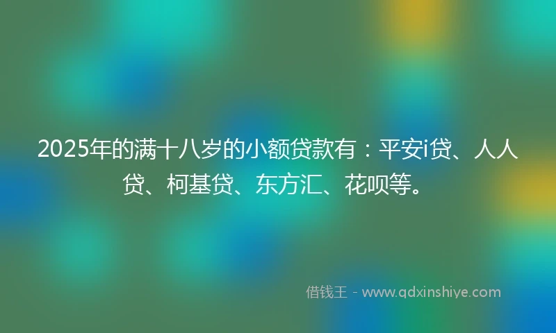 2025年的满十八岁的小额贷款有：平安i贷、人人贷、柯基贷、东方汇、花呗等。