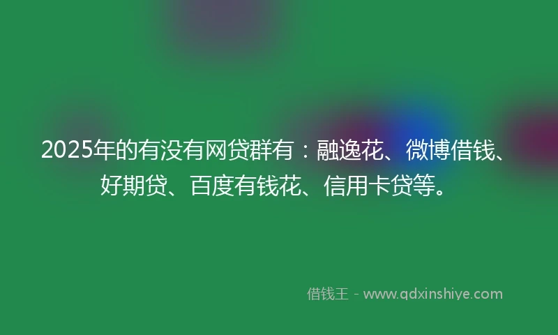 2025年的有没有网贷群有：融逸花、微博借钱、好期贷、百度有钱花、信用卡贷等。