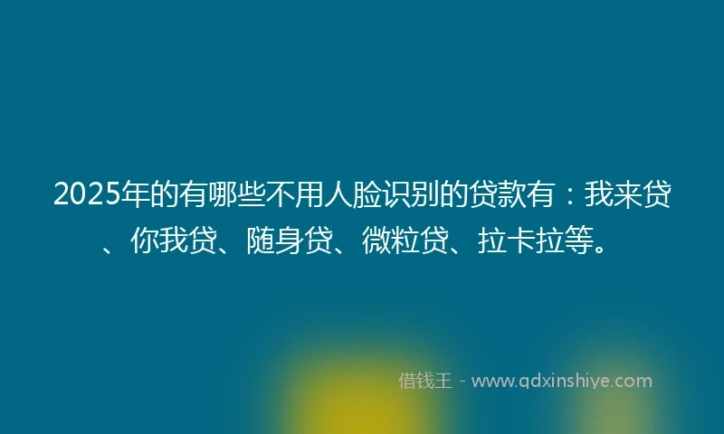 2025年的有哪些不用人脸识别的贷款有：我来贷、你我贷、随身贷、微粒贷、拉卡拉等。