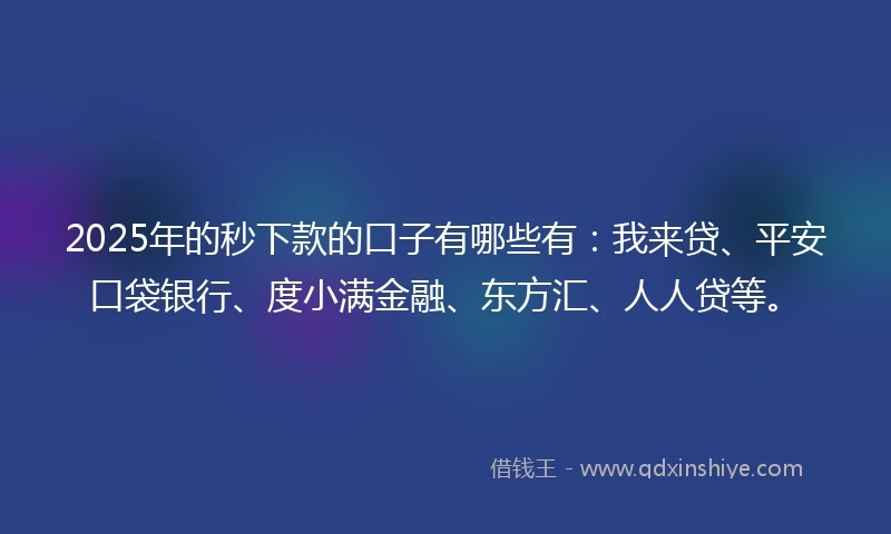 2025年的秒下款的口子有哪些有：我来贷、平安口袋银行、度小满金融、东方汇、人人贷等。