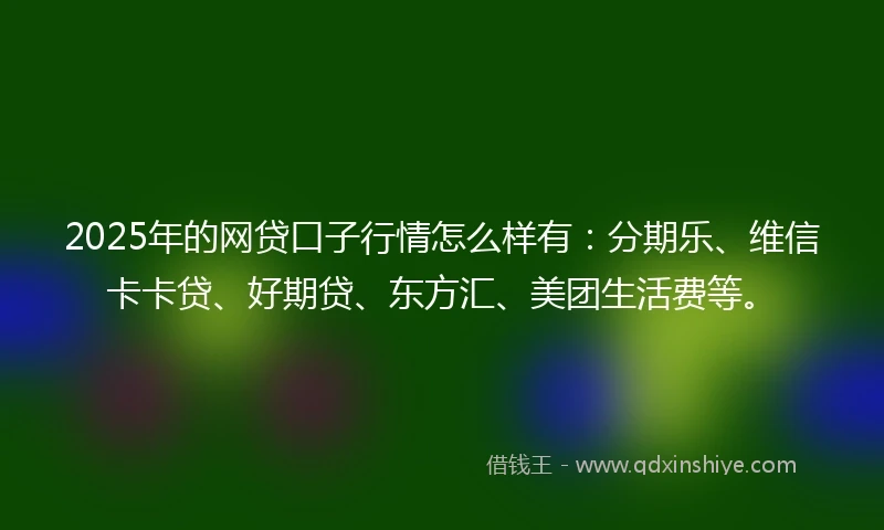 2025年的网贷口子行情怎么样有：分期乐、维信卡卡贷、好期贷、东方汇、美团生活费等。