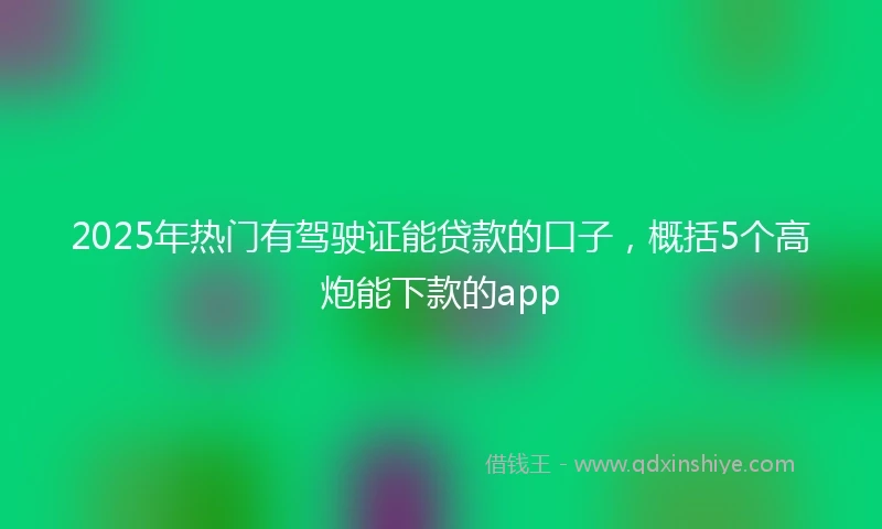 2025年热门有驾驶证能贷款的口子，概括5个高炮能下款的app