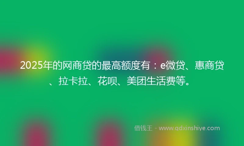 2025年的网商贷的最高额度有：e微贷、惠商贷、拉卡拉、花呗、美团生活费等。