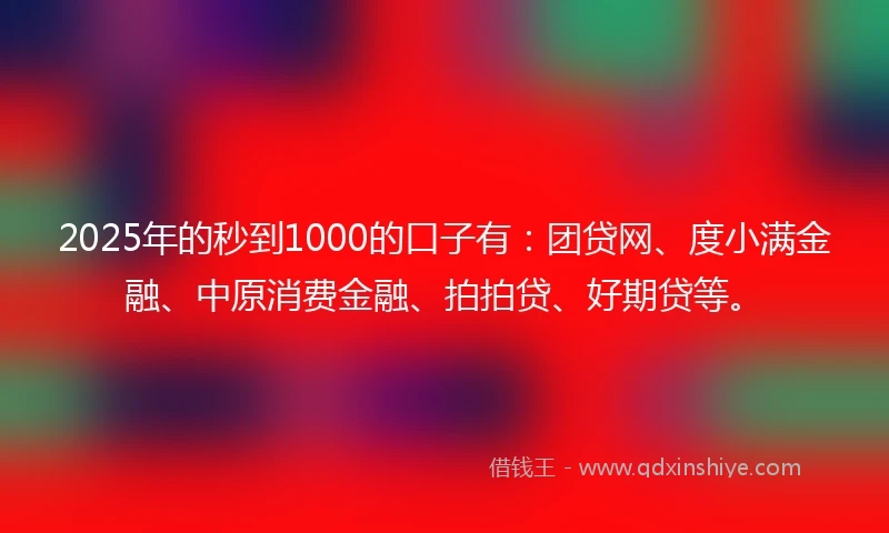 2025年的秒到1000的口子有：团贷网、度小满金融、中原消费金融、拍拍贷、好期贷等。