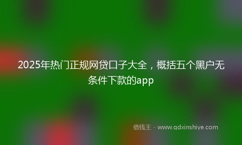 2025年热门正规网贷口子大全，概括五个黑户无条件下款的app