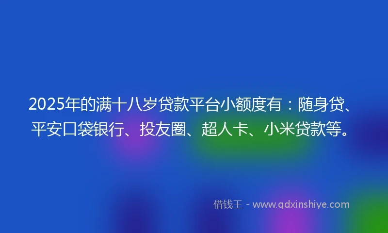 2025年的满十八岁贷款平台小额度有：随身贷、平安口袋银行、投友圈、超人卡、小米贷款等。