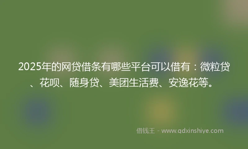 2025年的网贷借条有哪些平台可以借有：微粒贷、花呗、随身贷、美团生活费、安逸花等。