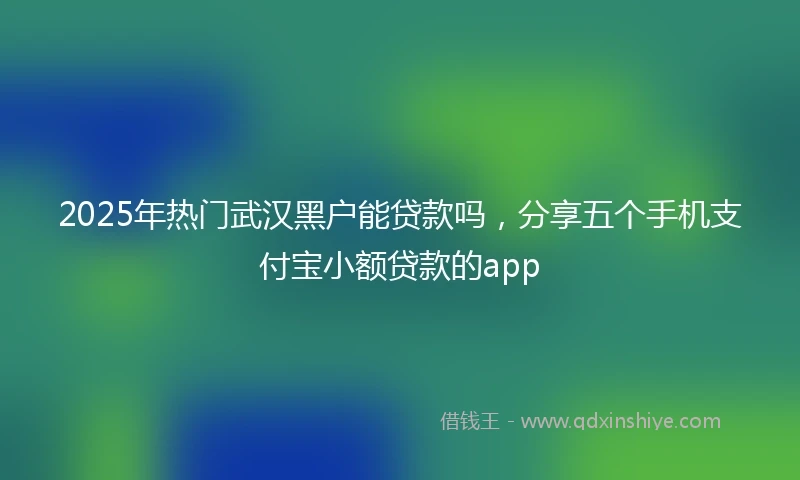 2025年热门武汉黑户能贷款吗，分享五个手机支付宝小额贷款的app