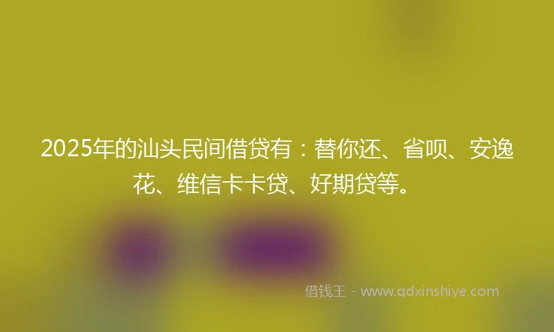2025年的汕头民间借贷有：替你还、省呗、安逸花、维信卡卡贷、好期贷等。