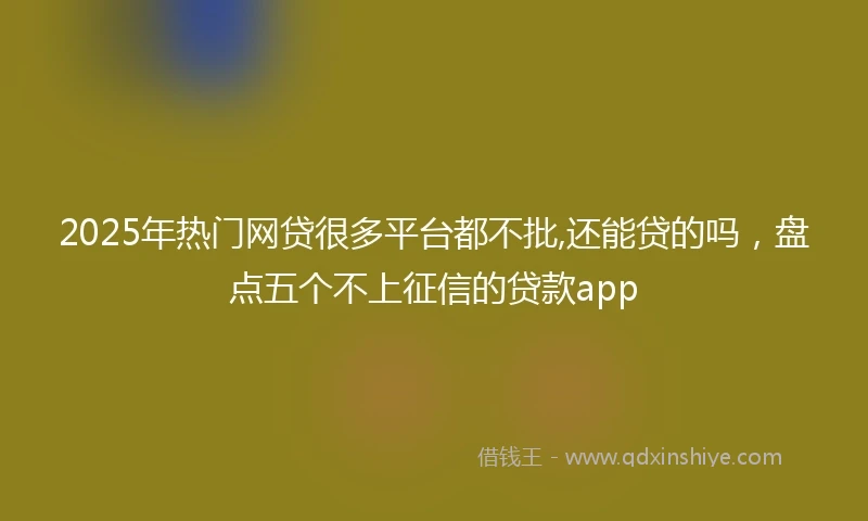 2025年热门网贷很多平台都不批,还能贷的吗，盘点五个不上征信的贷款app