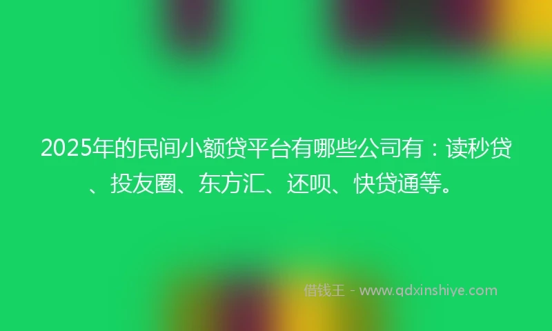2025年的民间小额贷平台有哪些公司有：读秒贷、投友圈、东方汇、还呗、快贷通等。