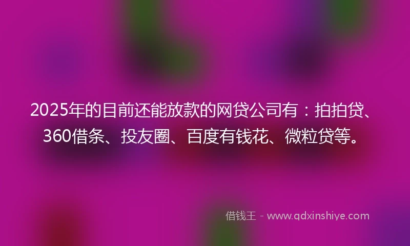 2025年的目前还能放款的网贷公司有：拍拍贷、360借条、投友圈、百度有钱花、微粒贷等。