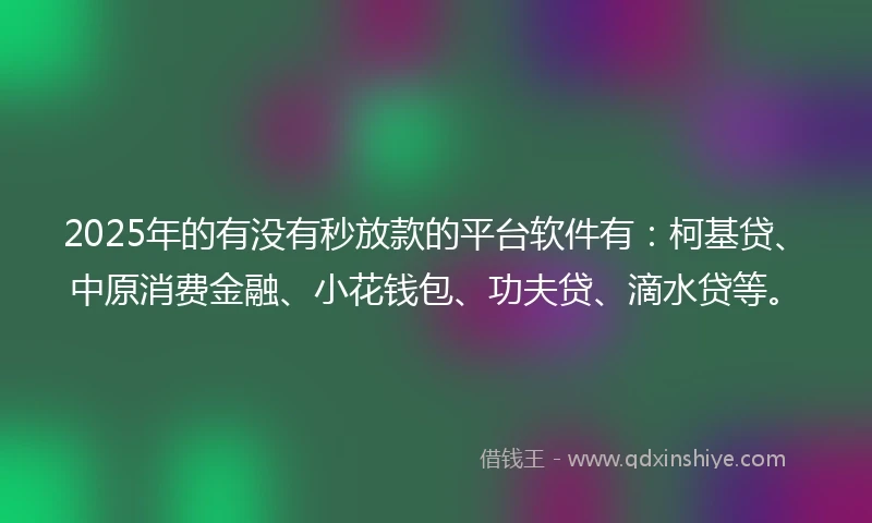 2025年的有没有秒放款的平台软件有：柯基贷、中原消费金融、小花钱包、功夫贷、滴水贷等。