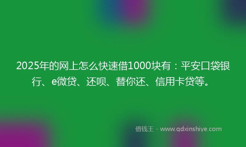 2025年的网上怎么快速借1000块有:平安口袋银行、e微贷、还呗、替你还、信用卡贷等。