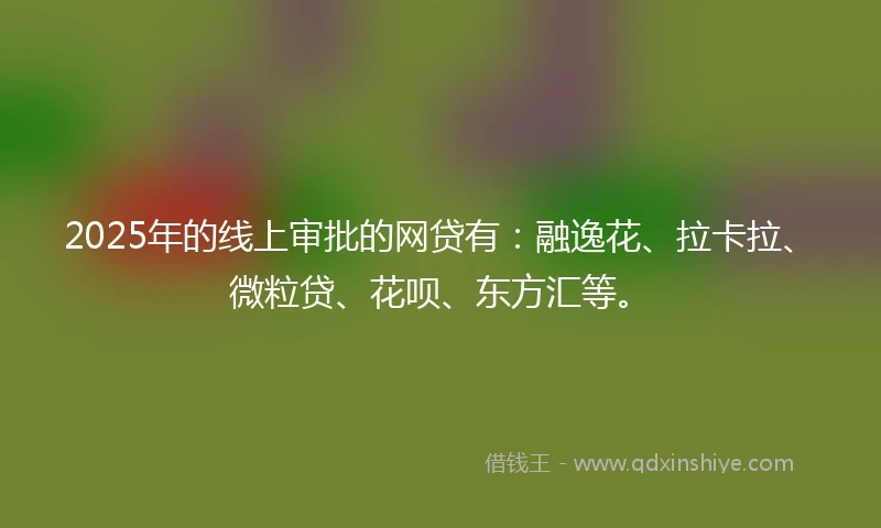 2025年的线上审批的网贷有：融逸花、拉卡拉、微粒贷、花呗、东方汇等。