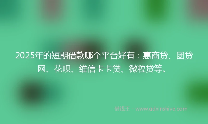 2025年的短期借款哪个平台好有：惠商贷、团贷网、花呗、维信卡卡贷、微粒贷等。