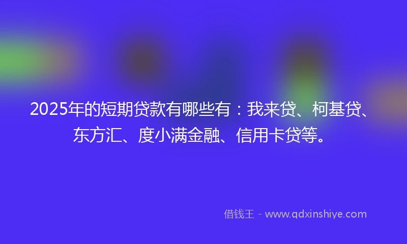 2025年的短期贷款有哪些有：我来贷、柯基贷、东方汇、度小满金融、信用卡贷等。
