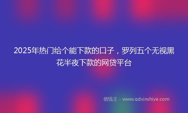 2025年热门给个能下款的口子,罗列五个无视黑花半夜下款的网贷平台