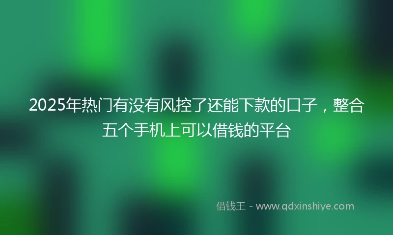 2025年热门有没有风控了还能下款的口子，整合五个手机上可以借钱的平台