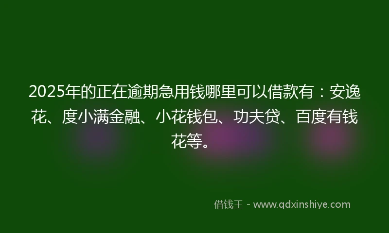 2025年的正在逾期急用钱哪里可以借款有：安逸花、度小满金融、小花钱包、功夫贷、百度有钱花等。