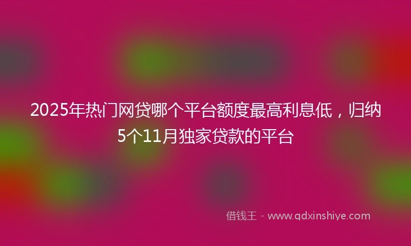2025年热门网贷哪个平台额度最高利息低，归纳5个11月独家贷款的平台