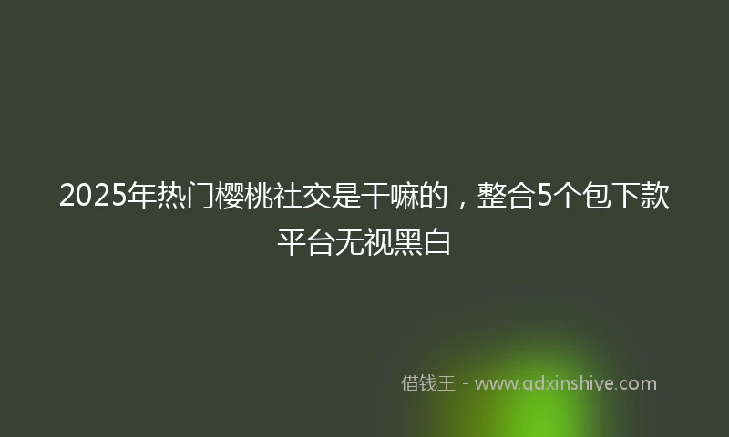 2025年热门樱桃社交是干嘛的，整合5个包下款平台无视黑白