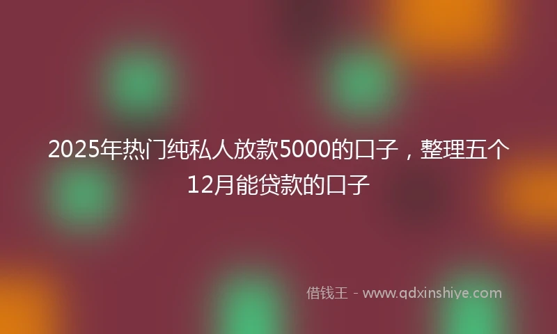 2025年热门纯私人放款5000的口子，整理五个12月能贷款的口子