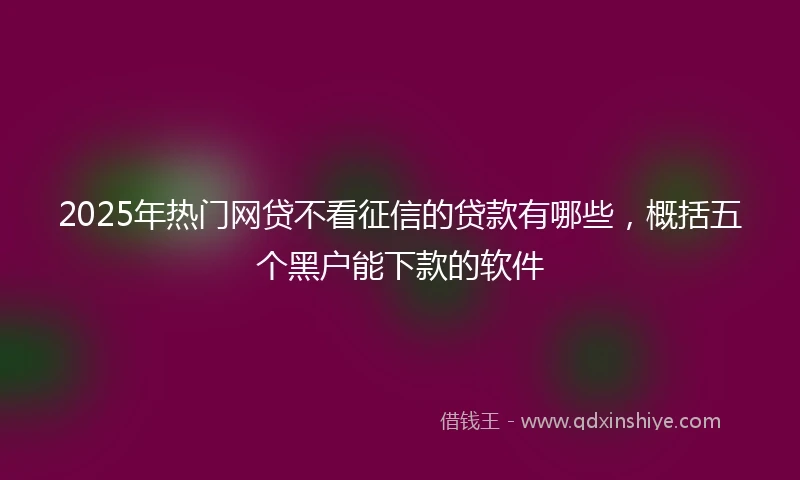 2025年热门网贷不看征信的贷款有哪些，概括五个黑户能下款的软件