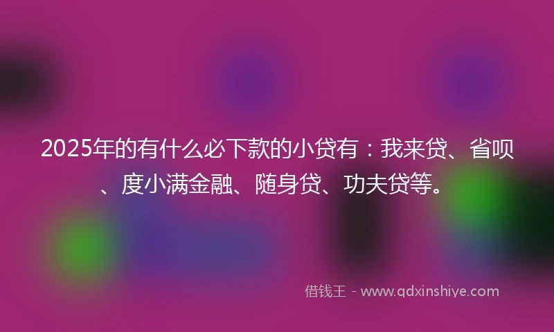 2025年的有什么必下款的小贷有：我来贷、省呗、度小满金融、随身贷、功夫贷等。