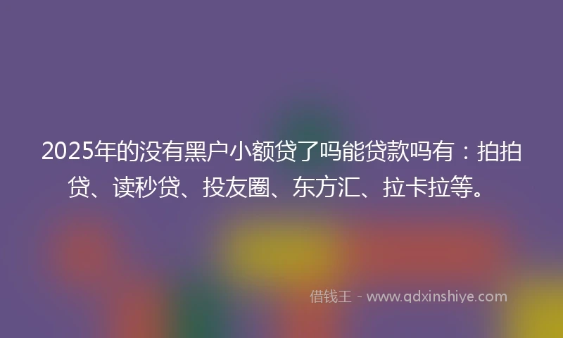 2025年的没有黑户小额贷了吗能贷款吗有：拍拍贷、读秒贷、投友圈、东方汇、拉卡拉等。
