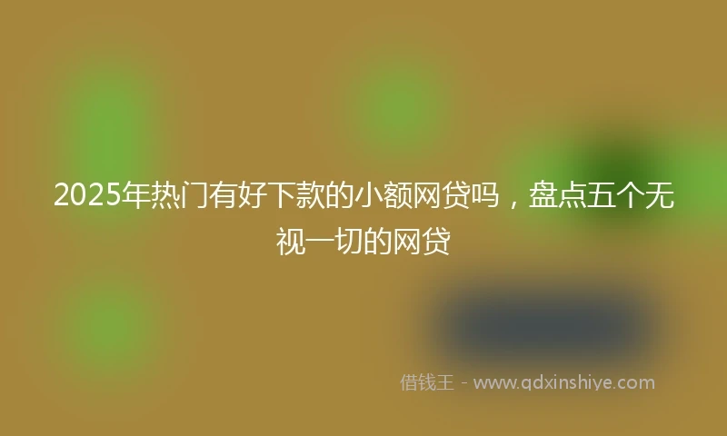 2025年热门有好下款的小额网贷吗，盘点五个无视一切的网贷