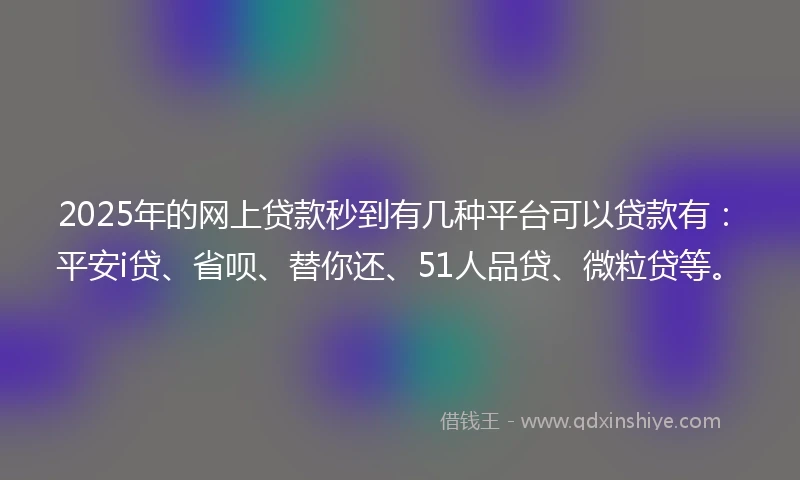2025年的网上贷款秒到有几种平台可以贷款有：平安i贷、省呗、替你还、51人品贷、微粒贷等。