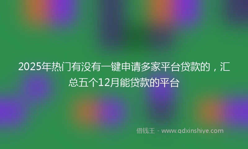 2025年热门有没有一键申请多家平台贷款的，汇总五个12月能贷款的平台