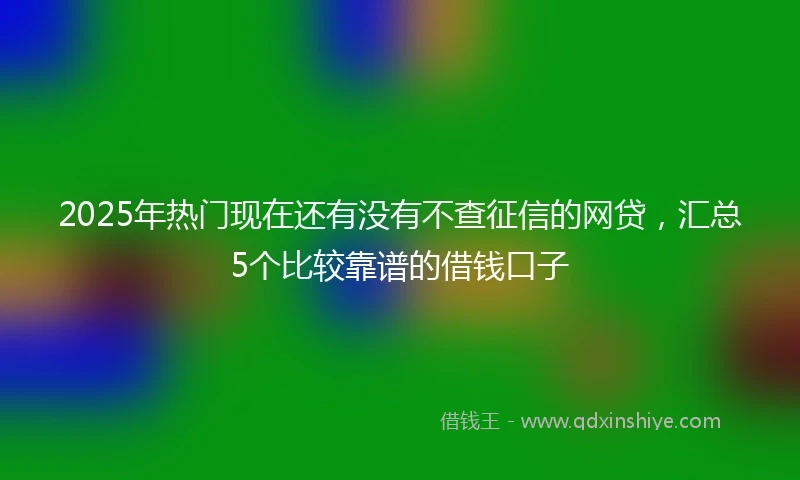 2025年热门现在还有没有不查征信的网贷，汇总5个比较靠谱的借钱口子